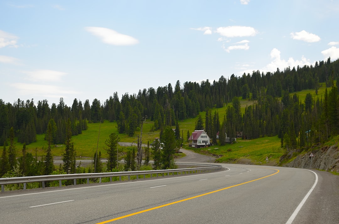 Alpine Pass Road
